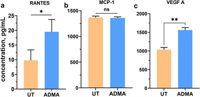 Asymmetric dimethylarginine induces maladaptive function of the blood-brain barrier